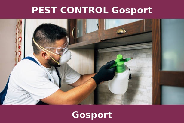 PEST CONTROL Gosport